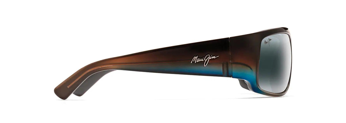 World Cup Polarized Sunglasses